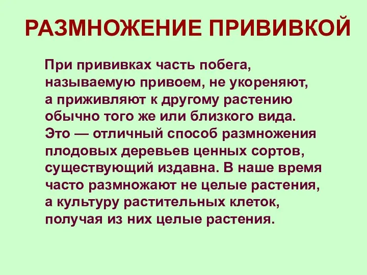 РАЗМНОЖЕНИЕ ПРИВИВКОЙ При прививках часть побега, называемую привоем, не укореняют,