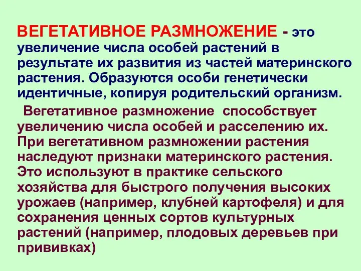 ВЕГЕТАТИВНОЕ РАЗМНОЖЕНИЕ - это увеличение числа особей растений в результате