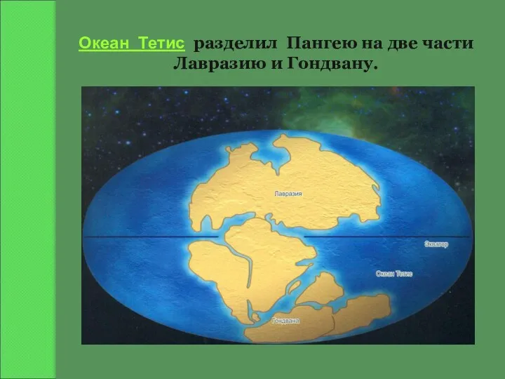 Океан Тетис разделил Пангею на две части Лавразию и Гондвану.