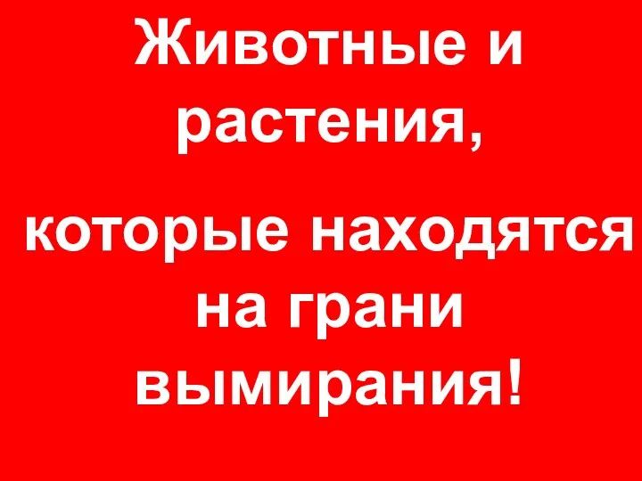 Животные и растения, которые находятся на грани вымирания!