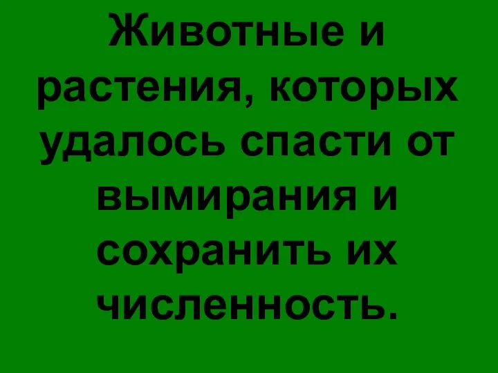 Животные и растения, которых удалось спасти от вымирания и сохранить их численность.