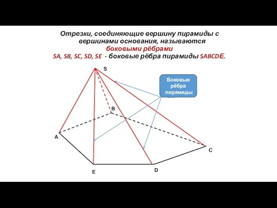 C Отрезки, соединяющие вершину пирамиды с вершинами основания, называются боковыми