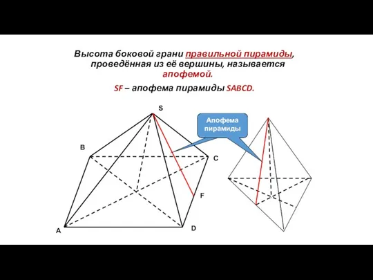 Высота боковой грани правильной пирамиды, проведённая из её вершины, называется