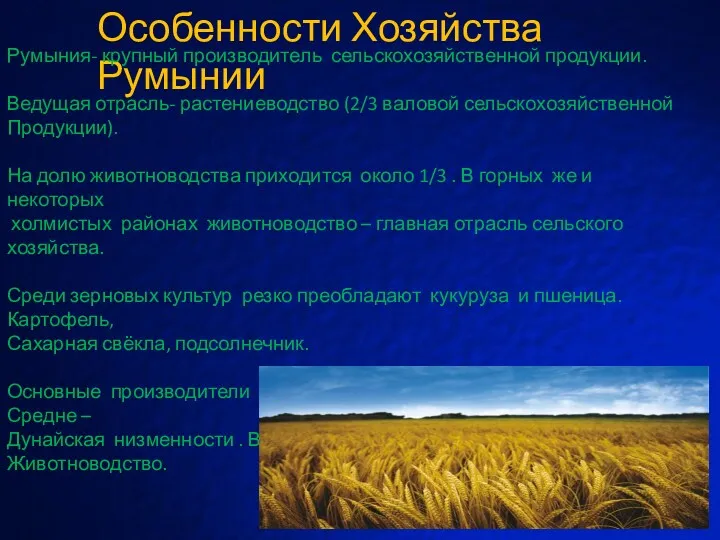 Особенности Хозяйства Румынии Румыния- крупный производитель сельскохозяйственной продукции. Ведущая отрасль-