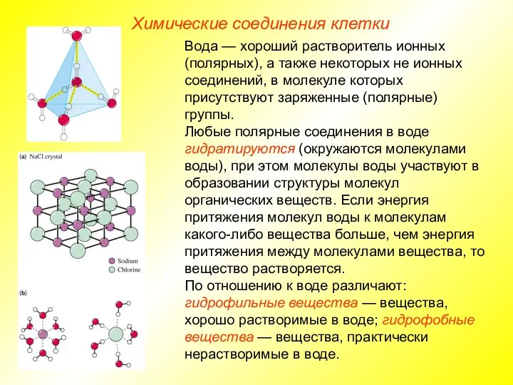 Химические соединения клетки Вода — хороший растворитель ионных (полярных), а