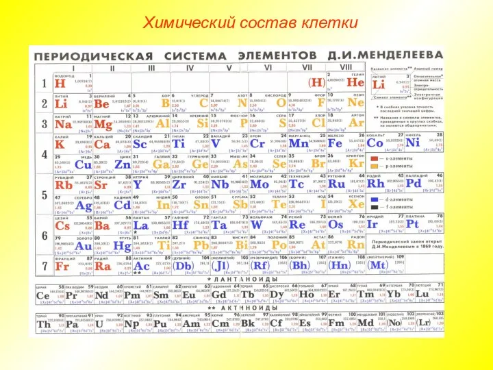 Химический состав клетки