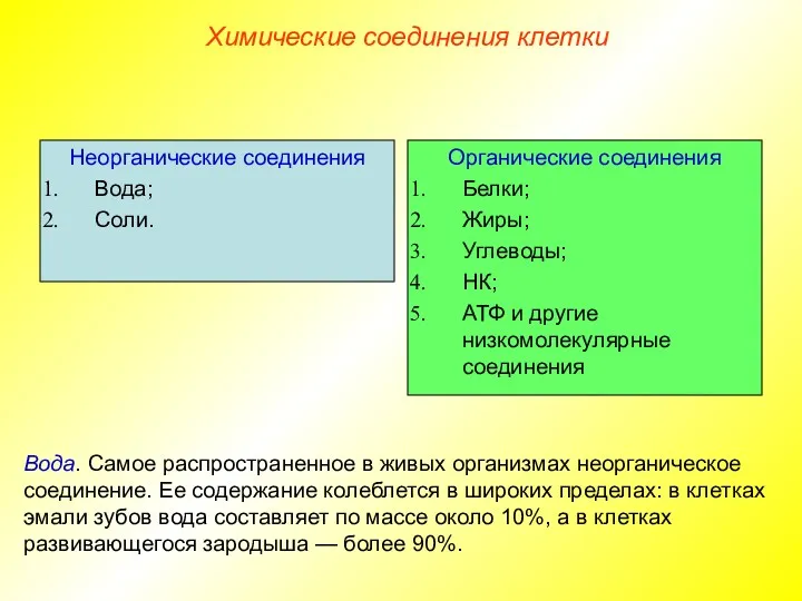 Неорганические соединения Вода; Соли. Органические соединения Белки; Жиры; Углеводы; НК;