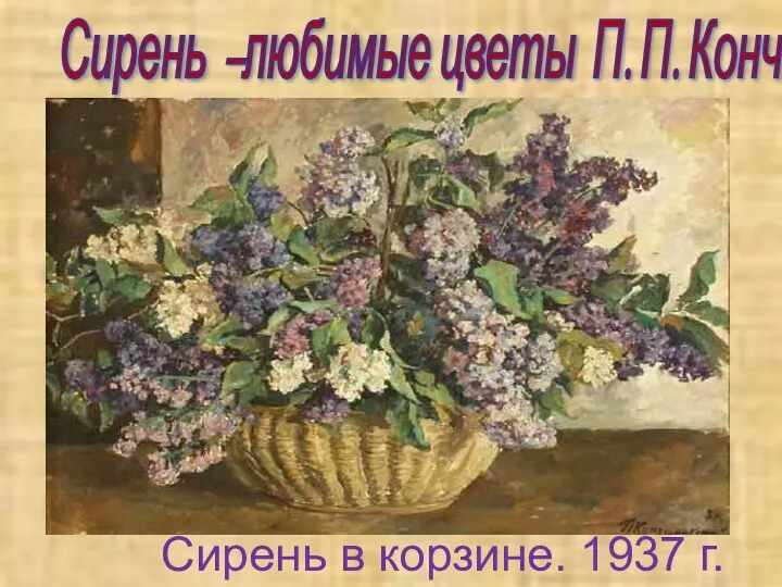 Сирень –любимые цветы П. П. Кончаловского Сирень в корзине. 1937 г.