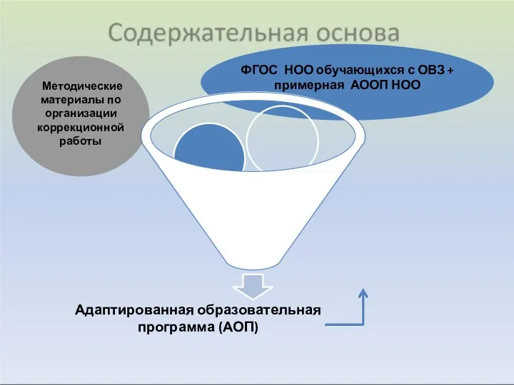 Адаптированная образовательная программа (АОП)