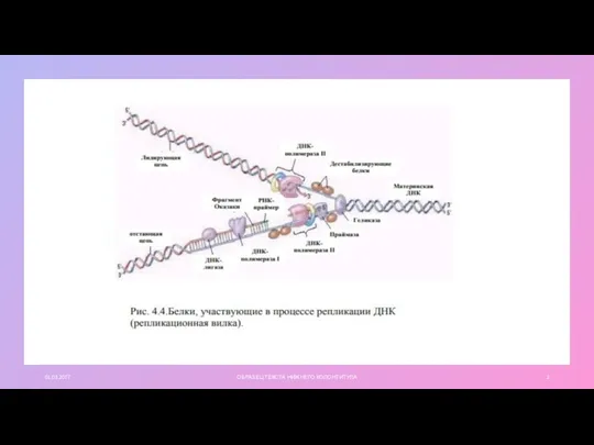 01.03.20ГГ ОБРАЗЕЦ ТЕКСТА НИЖНЕГО КОЛОНТИТУЛА