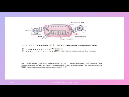 01.03.20ГГ ОБРАЗЕЦ ТЕКСТА НИЖНЕГО КОЛОНТИТУЛА