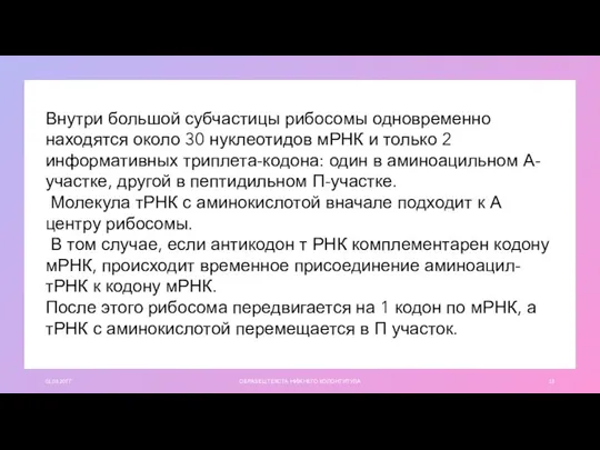 01.03.20ГГ ОБРАЗЕЦ ТЕКСТА НИЖНЕГО КОЛОНТИТУЛА Внутри большой субчастицы рибосомы одновременно