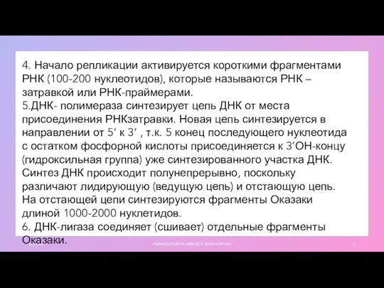 01.03.20ГГ ОБРАЗЕЦ ТЕКСТА НИЖНЕГО КОЛОНТИТУЛА 4. Начало репликации активируется короткими