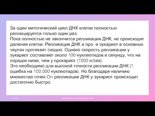 01.03.20ГГ ОБРАЗЕЦ ТЕКСТА НИЖНЕГО КОЛОНТИТУЛА За один митотический цикл ДНК