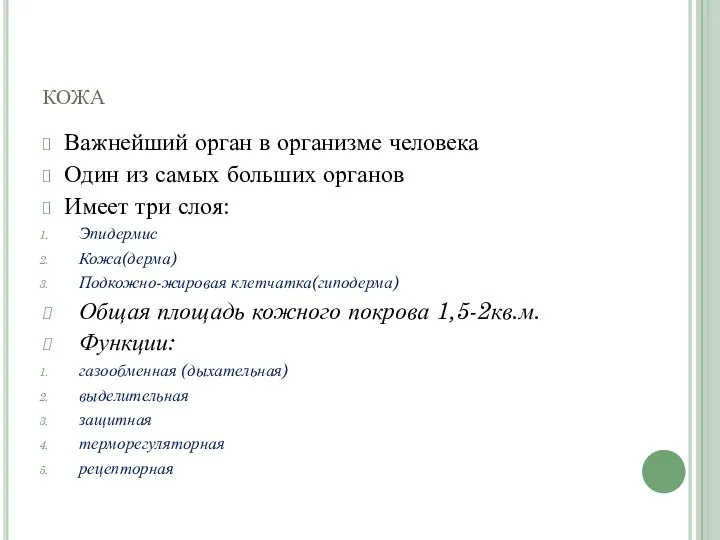 кожа Важнейший орган в организме человека Один из самых больших