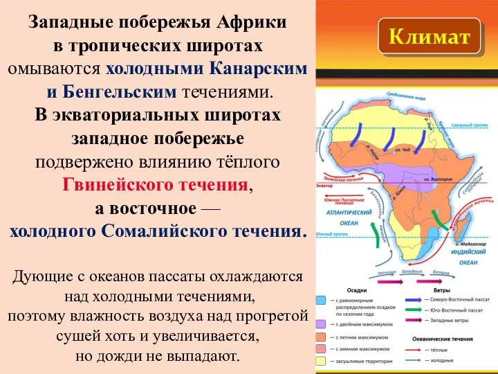 Климат Западные побережья Африки в тропических широтах омываются холодными Канарским