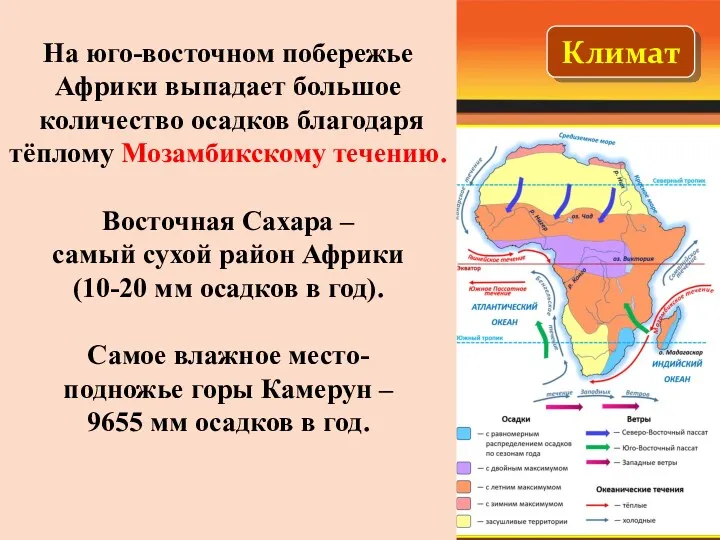 Климат На юго-восточном побережье Африки выпадает большое количество осадков благодаря