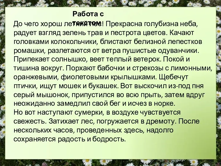 Работа с текстом До чего хорош летний лес! Прекрасна голубизна