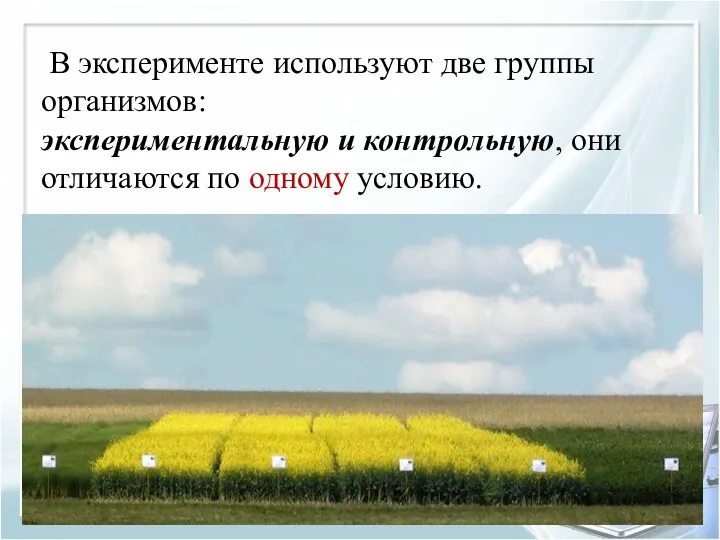 В эксперименте используют две группы организмов: экспериментальную и контрольную, они отличаются по одному условию.