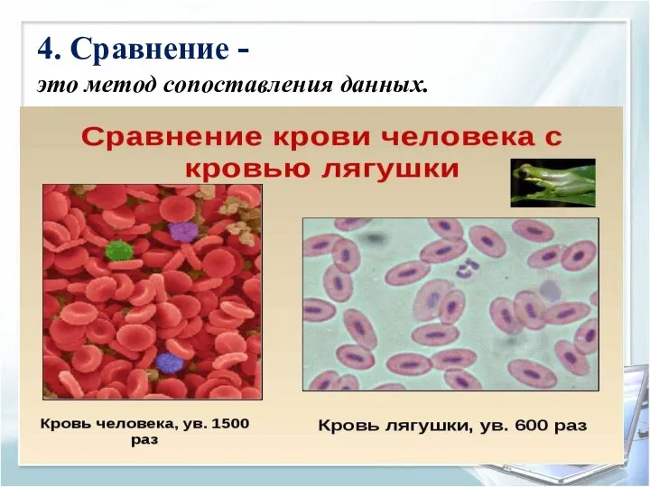 4. Сравнение - это метод сопоставления данных.