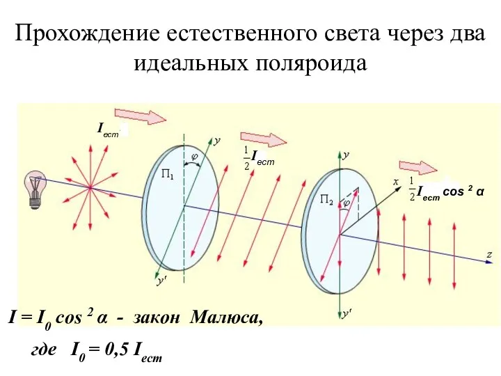 Прохождение естественного света через два идеальных поляроида