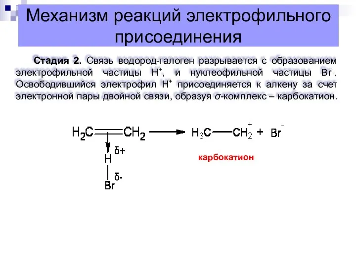 Механизм реакций электрофильного присоединения Стадия 2. Связь водород-галоген разрывается с