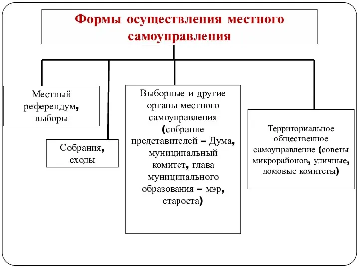 Местный референдум, выборы Собрания, сходы Выборные и другие органы местного