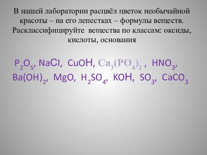 В нашей лаборатории расцвёл цветок необычайной красоты – на его