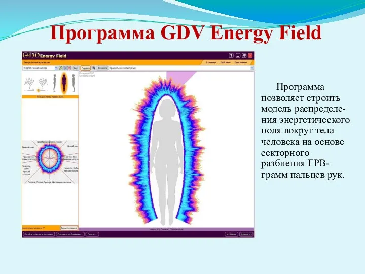 Программа GDV Energy Field Программа позволяет строить модель распределе-ния энергетического поля вокруг тела