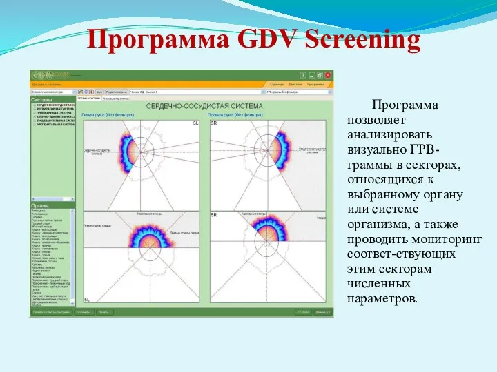 Программа GDV Screening Программа позволяет анализировать визуально ГРВ-граммы в секторах, относящихся к выбранному