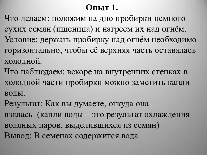 Опыт 1. Что делаем: положим на дно пробирки немного сухих