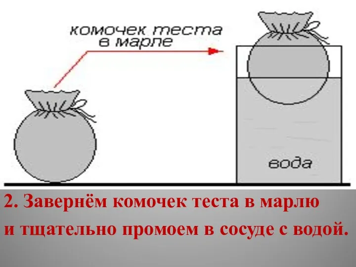 2. Завернём комочек теста в марлю и тщательно промоем в сосуде с водой.