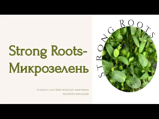 Strong Roots-Микрозелен