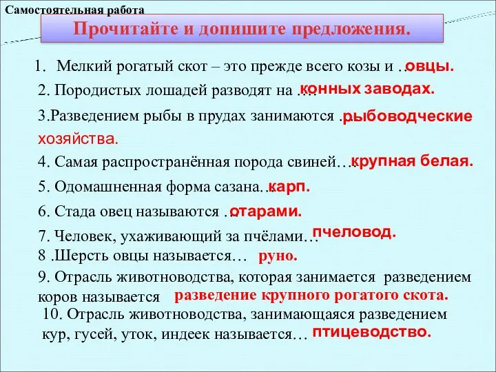 Мелкий рогатый скот – это прежде всего козы и …