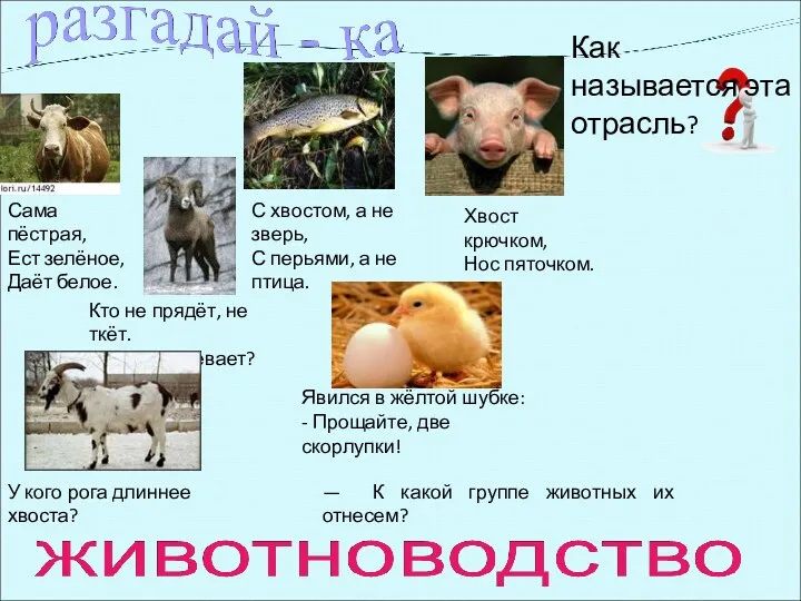 Сама пёстрая, Ест зелёное, Даёт белое. Кто не прядёт, не