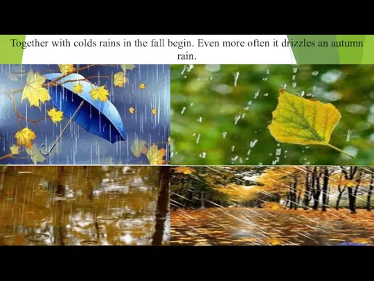 Together with colds rains in the fall begin. Even more often it drizzles an autumn rain.