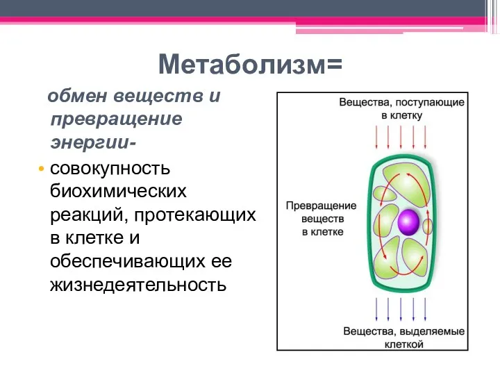 Метаболизм= обмен веществ и превращение энергии- совокупность биохимических реакций, протекающих в клетке и обеспечивающих ее жизнедеятельность