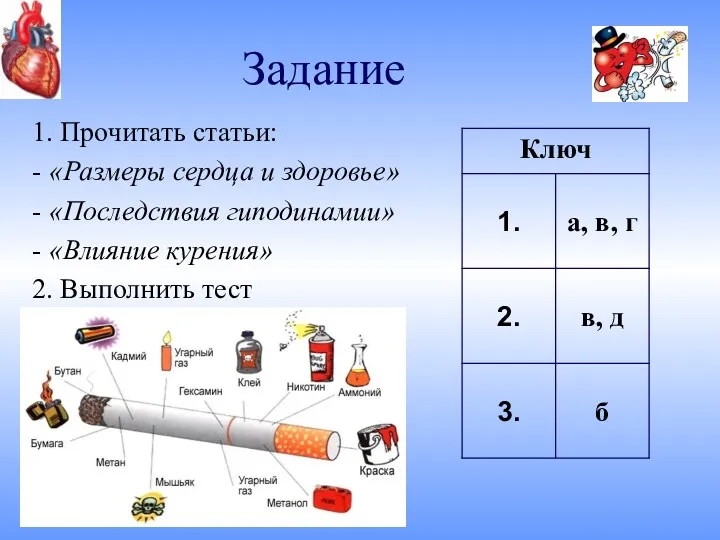 Задание 1. Прочитать статьи: - «Размеры сердца и здоровье» -