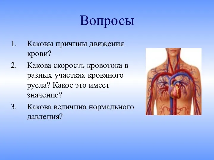 Вопросы Каковы причины движения крови? Какова скорость кровотока в разных