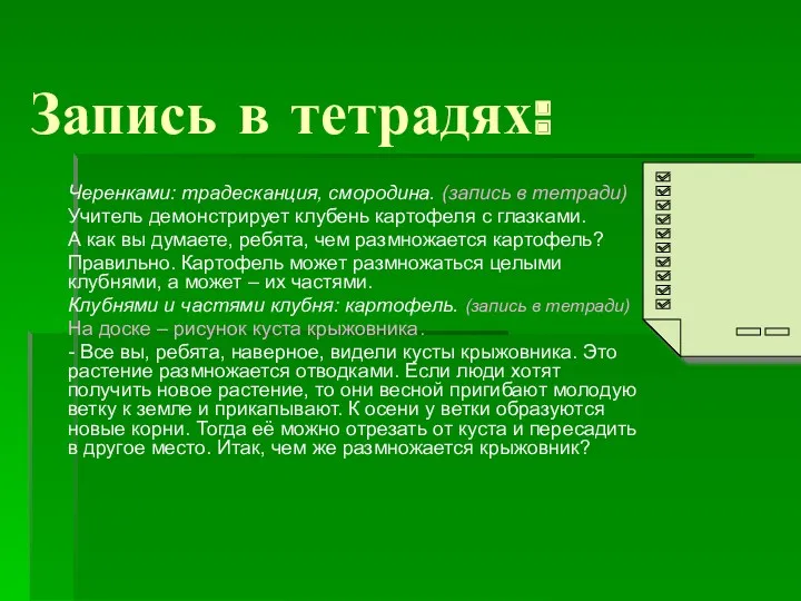 Запись в тетрадях: Черенками: традесканция, смородина. (запись в тетради) Учитель