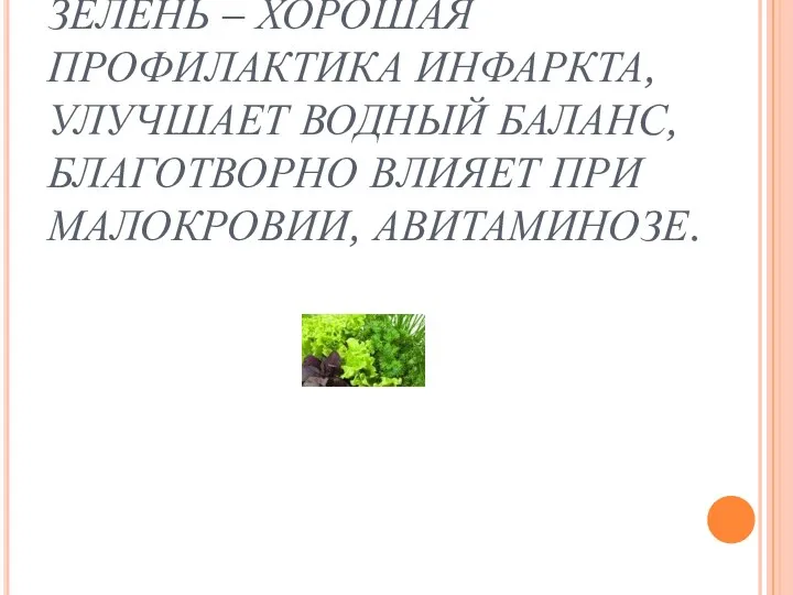 САЛАТ, УКРОП, ПЕТРУШКА. ЗЕЛЕНЬ – ХОРОШАЯ ПРОФИЛАКТИКА ИНФАРКТА, УЛУЧШАЕТ ВОДНЫЙ БАЛАНС, БЛАГОТВОРНО ВЛИЯЕТ ПРИ МАЛОКРОВИИ, АВИТАМИНОЗЕ.