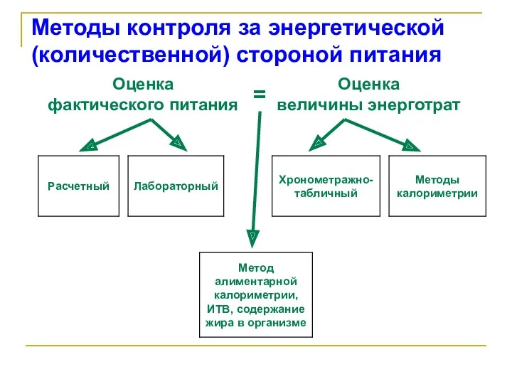 Методы контроля за энергетической (количественной) стороной питания Оценка фактического питания Оценка величины энерготрат =