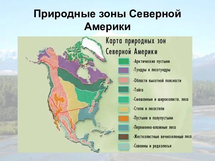 Природные зоны Северной Америки
