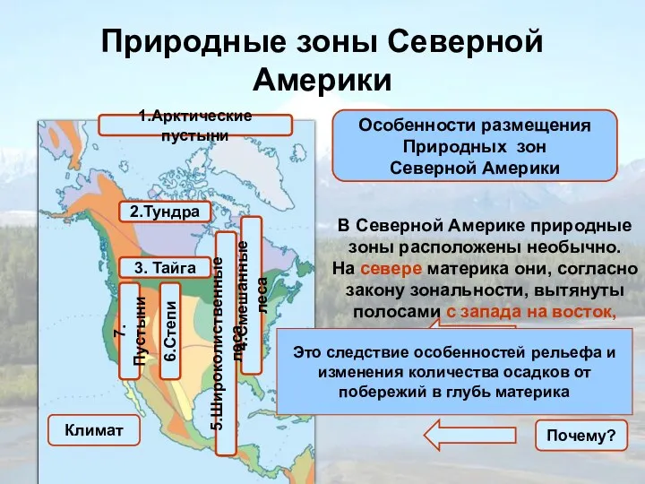 Природные зоны Северной Америки Особенности размещения Природных зон Северной Америки