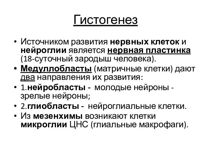 Гистогенез Источником развития нервных клеток и нейроглии является нервная пластинка