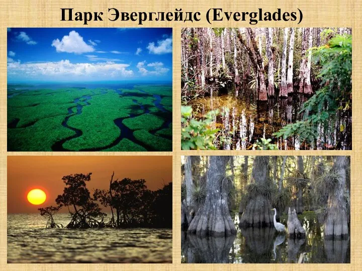 Парк Эверглейдс (Everglades)