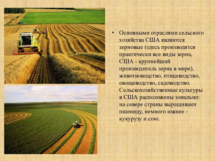 Основными отраслями сельского хозяйства США являются зерновые (здесь производятся практически