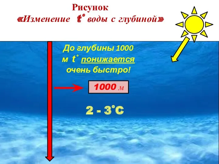 1000 м До глубины 1000 м t˚ понижается очень быстро!