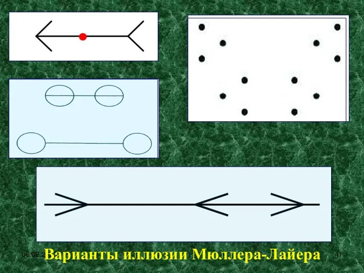 06.02.2023 Варианты иллюзии Мюллера-Лайера