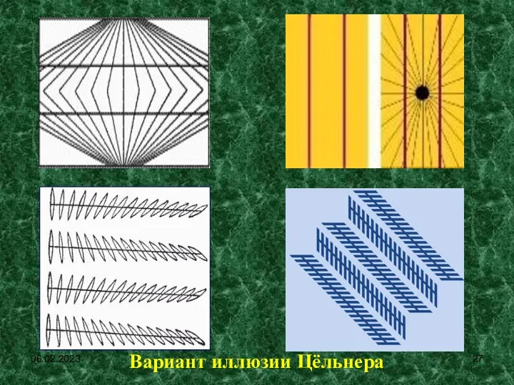 06.02.2023 Вариант иллюзии Цёльнера